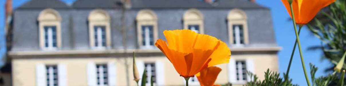 Productor: Château Guiraud