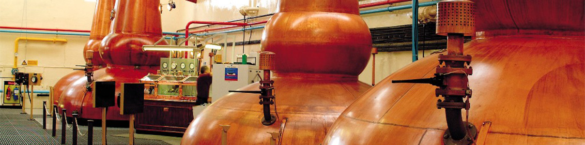 Productor: Glenfarclas Distillery