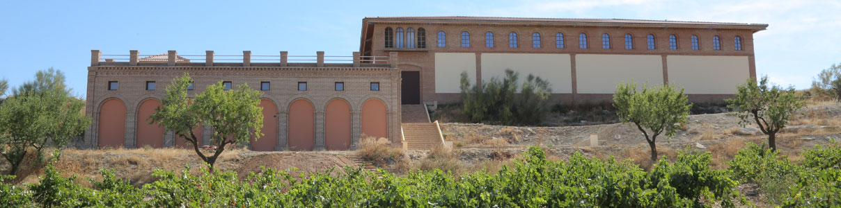 Productor: Hacienda Molleda
