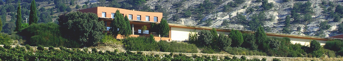 Productor: Bodegas Hacienda Monasterio