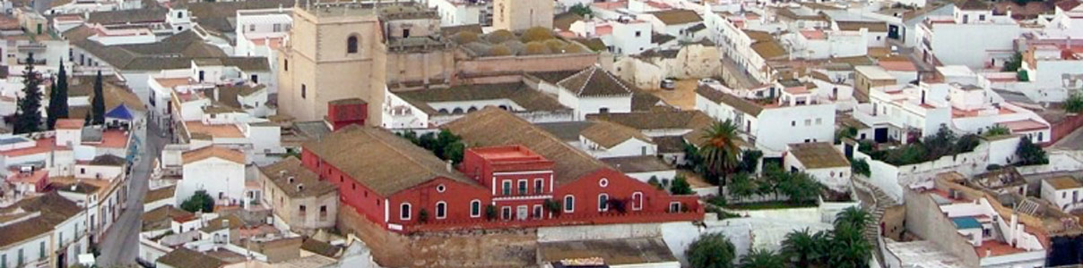 Productor: Bodegas Halcón
