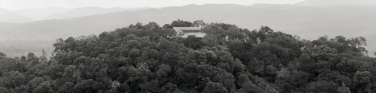 Productor: Harlan Estate