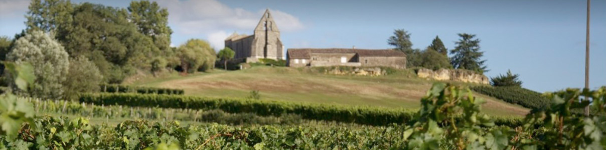 Productor: Château Haut Dambert