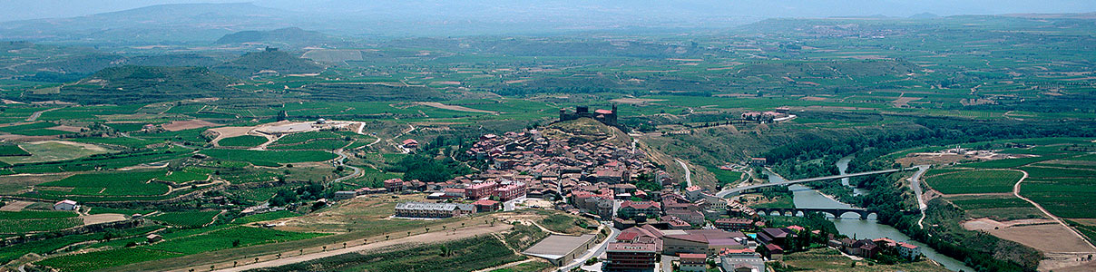 Productor: Bodegas Hermanos Peciña