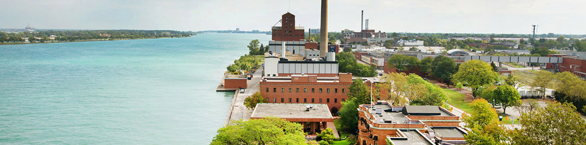 Productor: Hiram Walker Distillery Windsor