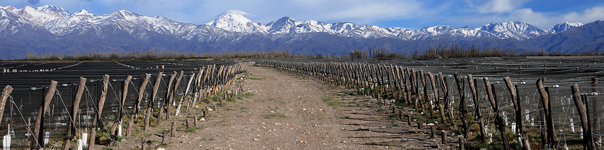 Productor: Huentala Wines