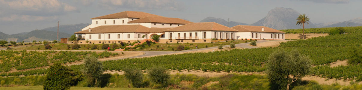 Productor: Huerta de Albalá