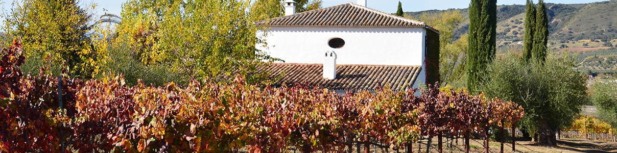 Productor: Huerto de la Condesa
