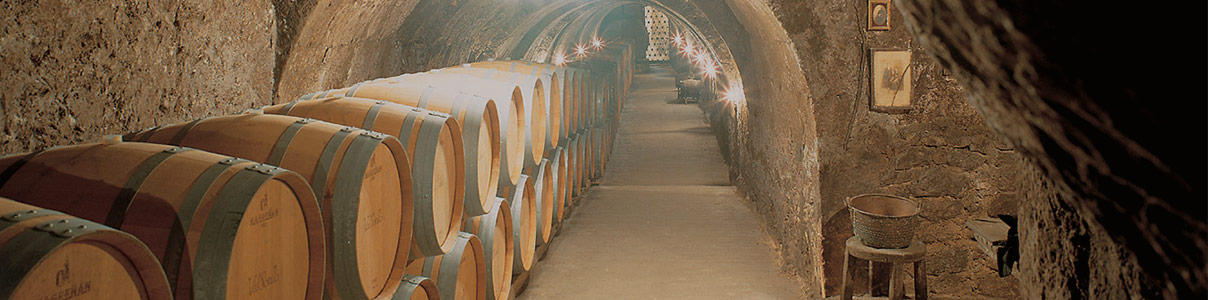 Productor: Bodegas Ismael Arroyo