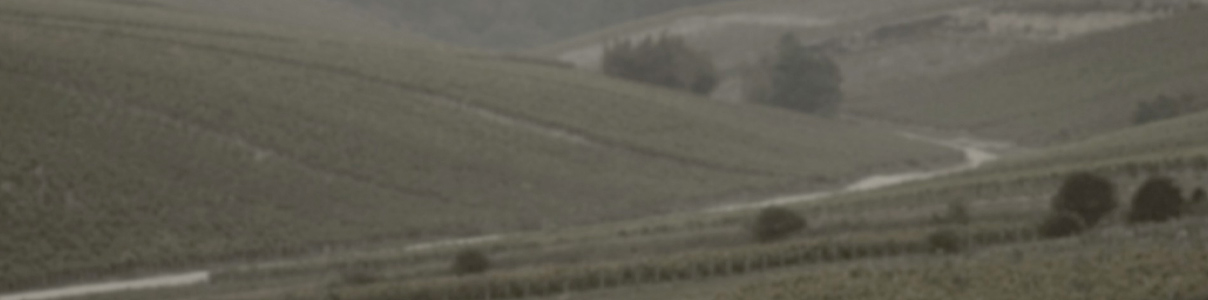 Productor: Domaine Jean-Marc Brocard