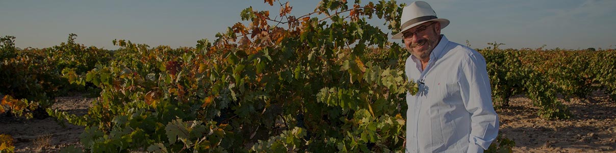 Productor: Bodegas Ordóñez 