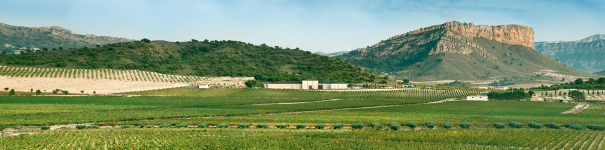 Productor: Bodegas Juan Gil