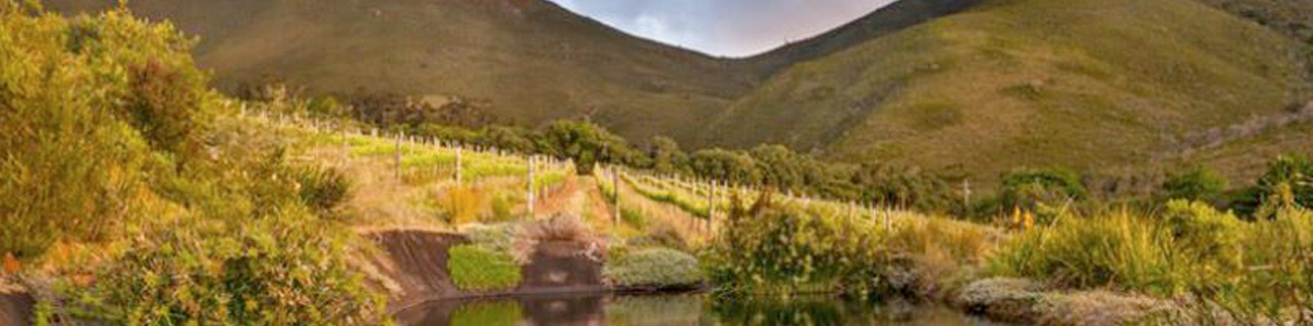 Productor: Keermont