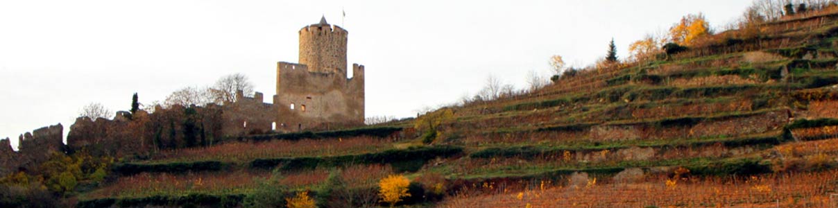 Productor: Domaine Kirrenbourg