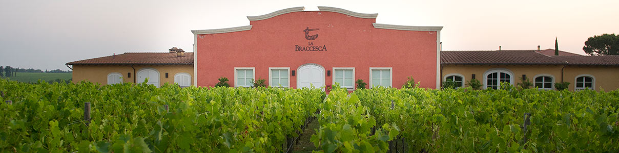 Productor: La Braccesca