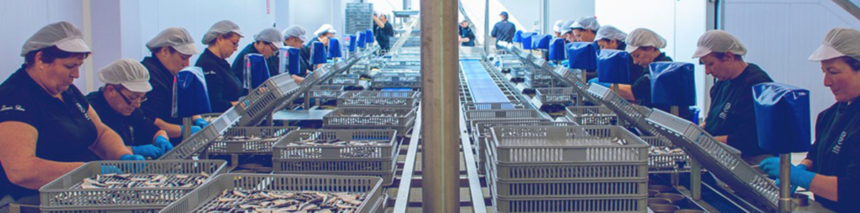 Productor: Conservas La Brújula
