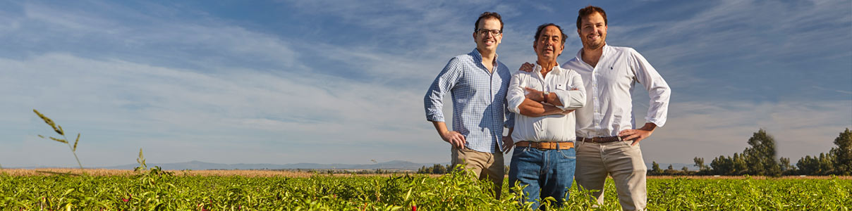 Productor: Finca La Barca + Pimentón la Chinata