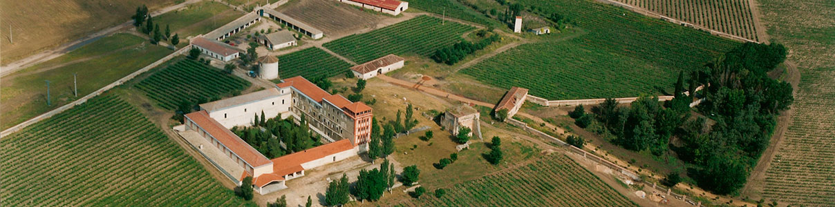 Productor: Bodegas y Viñedos La Mejorada