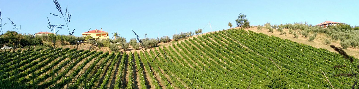 Productor: La Quercia