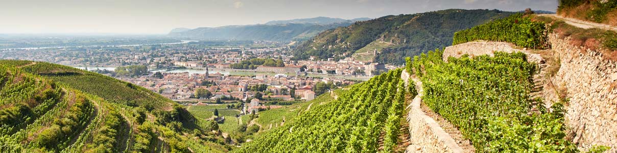 Productor: Maison Les Alexandrins