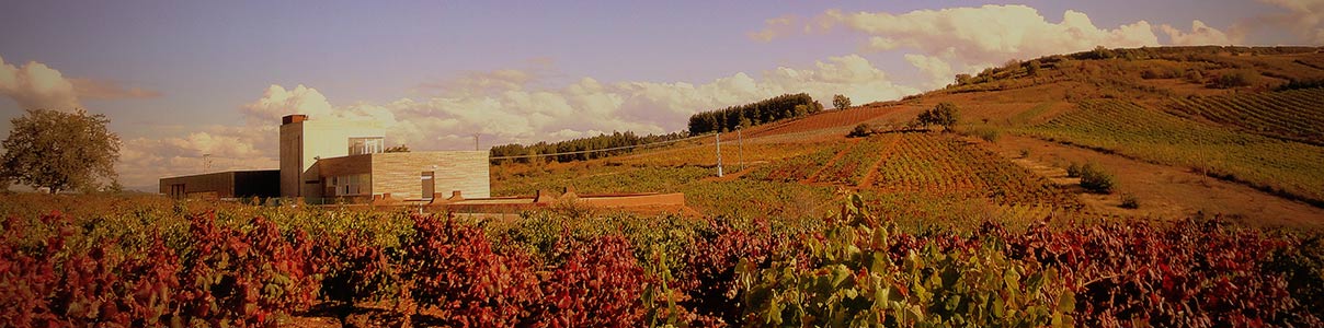 Productor: Losada Vinos de Finca