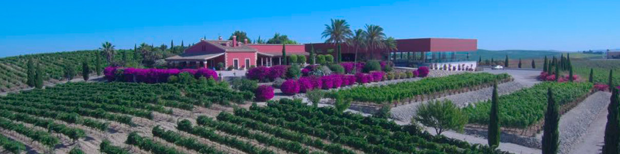 Productor: Bodegas Luis Pérez