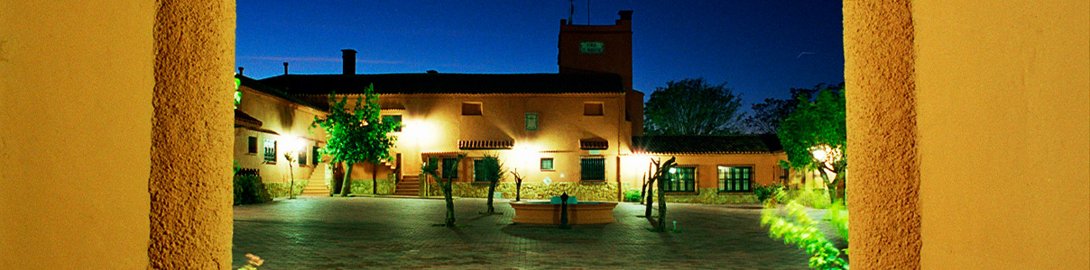 Productor: Viñedos Balmoral
