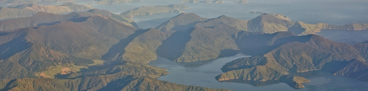Productor: Marlborough Sounds