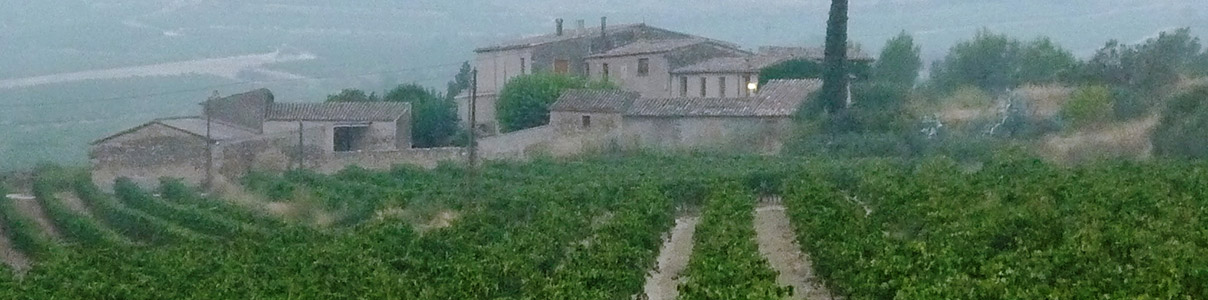 Productor: Vins el Cep