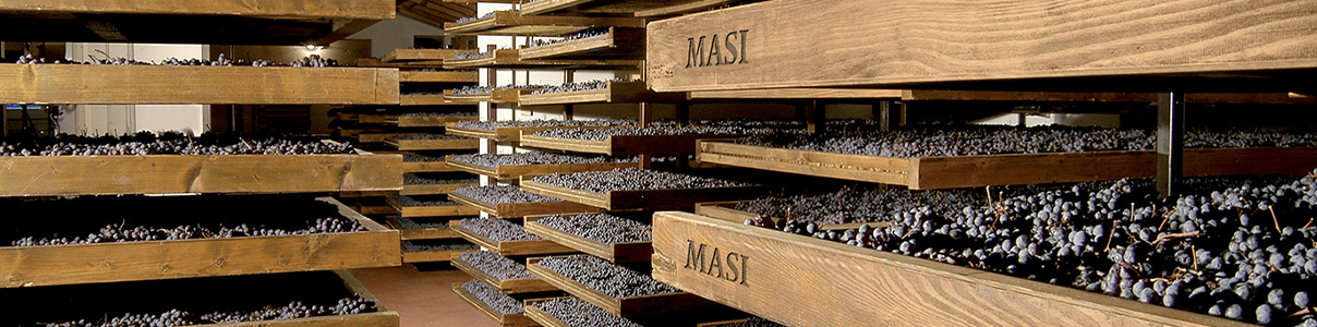 Productor: Masi