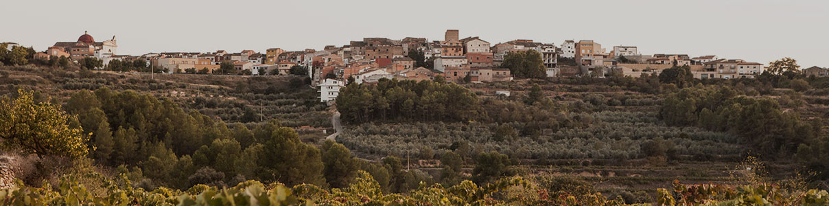 Productor: Celler Masroig