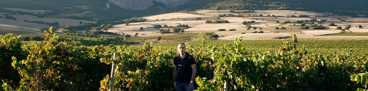 Productor: Bodegas Medrano Irazu