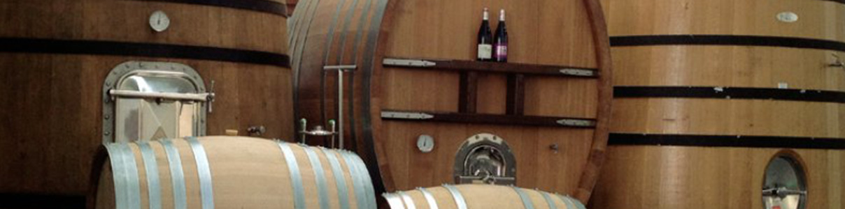 Productor: Mengoba Bodegas y Viñedos