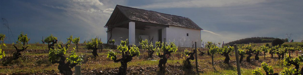 Productor: Bodegas y Viñedos Merayo