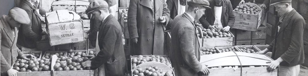 Productor: Wilkin & Sons Tiptree