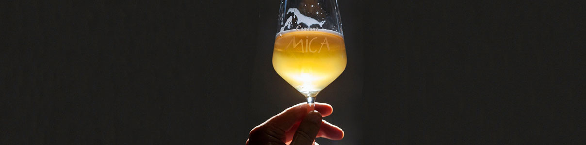 Productor: Cerveza Mica