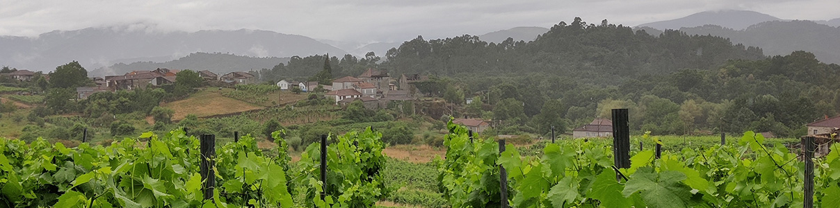 Productor: Mixtura Wines