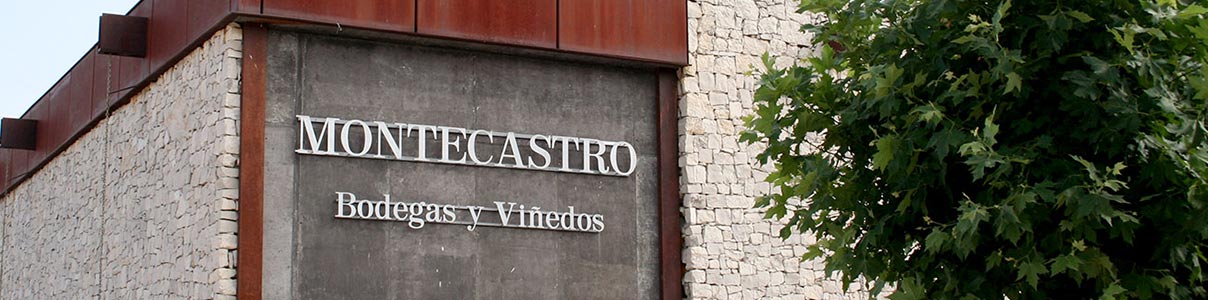 Productor: Montecastro Bodegas y Viñedos