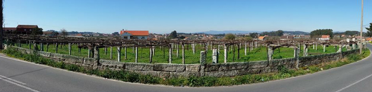 Productor: Narupa Vinos