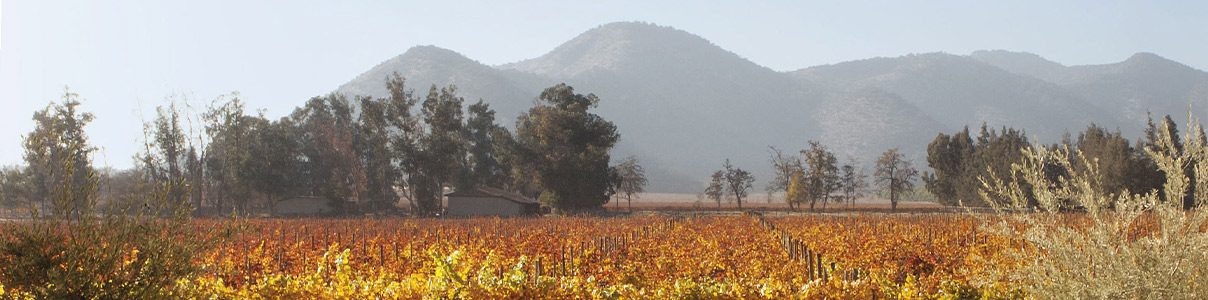 Productor: Santa Rita