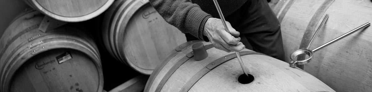 Productor: Bodegas Obergo