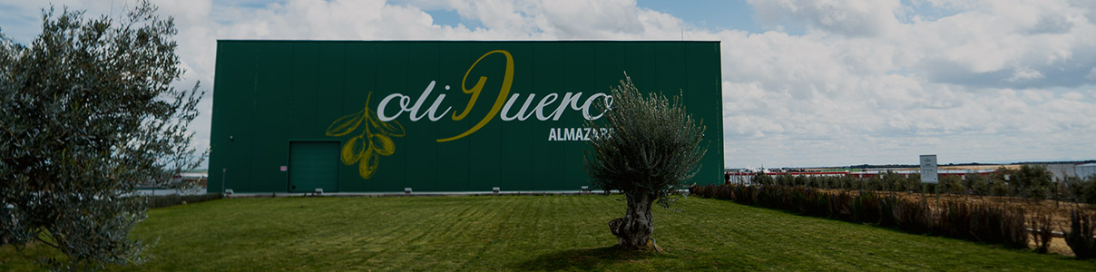 Productor: Almazara Oliduero