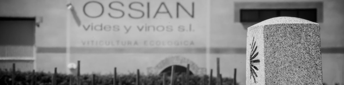 Productor: Ossian Vides y Vinos