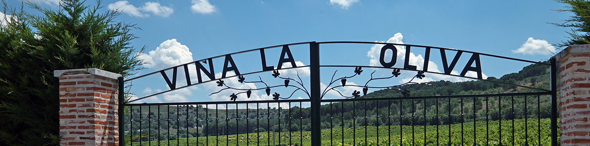 Productor: Pago de la Oliva