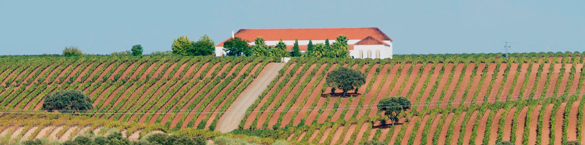 Productor: Palacio Quemado