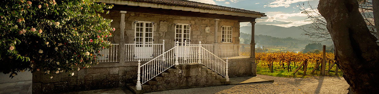 Productor: Pazo de San Mauro