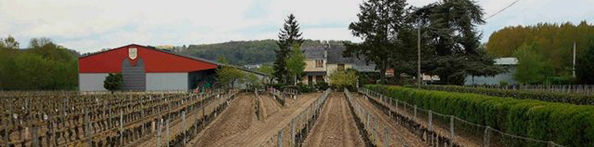 Productor: Domaine Philippe Alliet