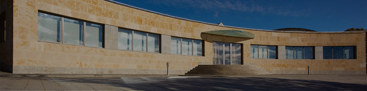 Productor: Bodegas y Viñedos Pintia