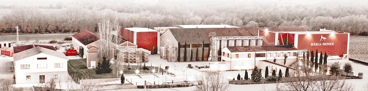 Productor: Bodega Pirineos
