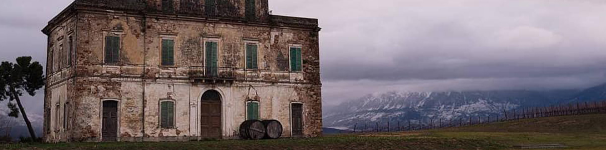 Productor: Podere Castorani